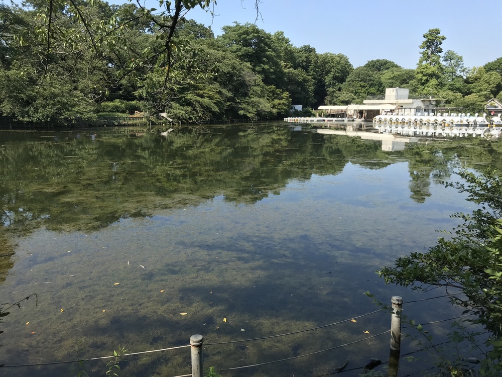 吉祥寺 トレイル&ロード 9kmの写真9