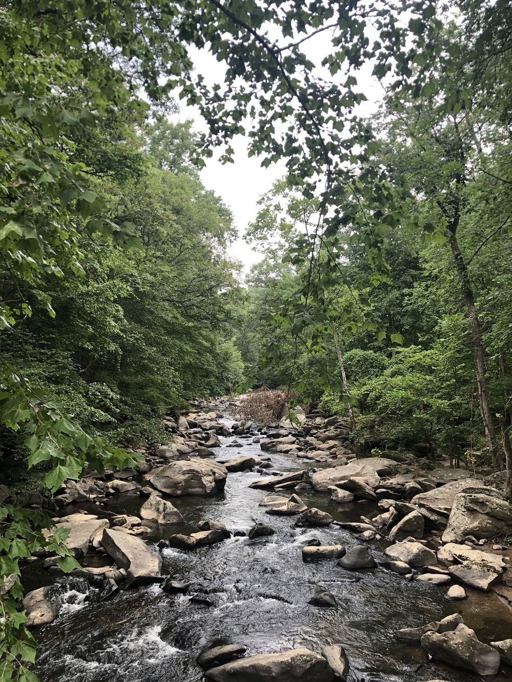[Washinton D.C.] Rock Creek Park Trailの写真4
