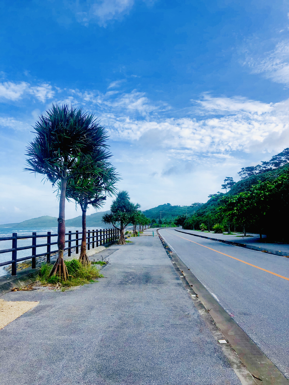 イーフビーチから青い海を眺める久米島海岸線ランの写真5