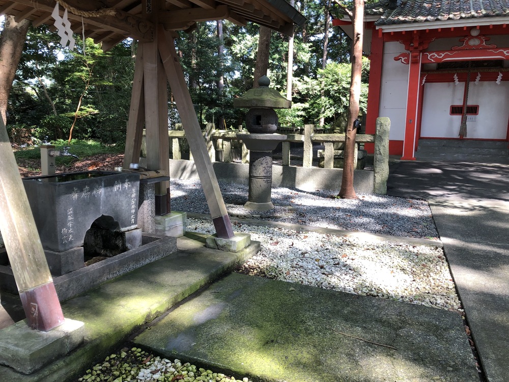 かりがね堤芝生ジョグの写真3