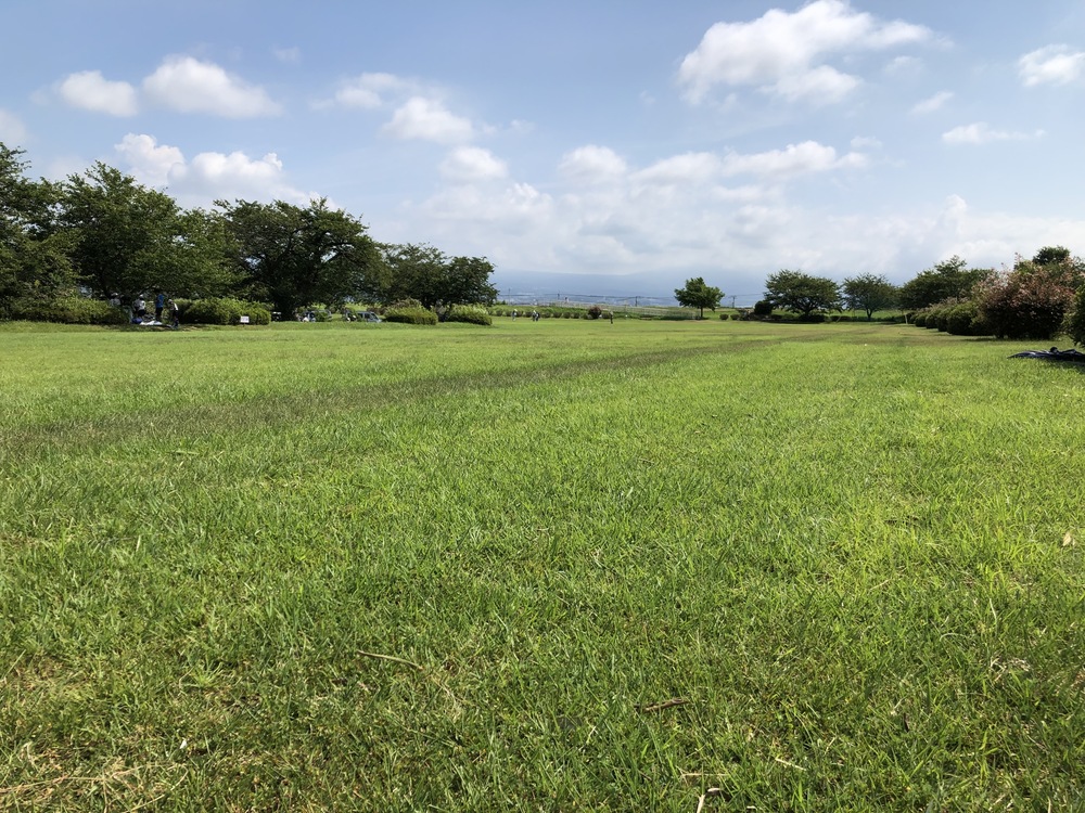 かりがね堤芝生ジョグの写真4