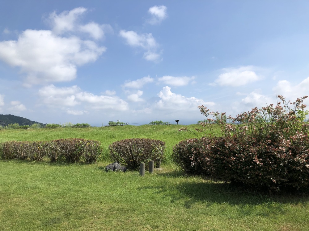 かりがね堤芝生ジョグの写真5