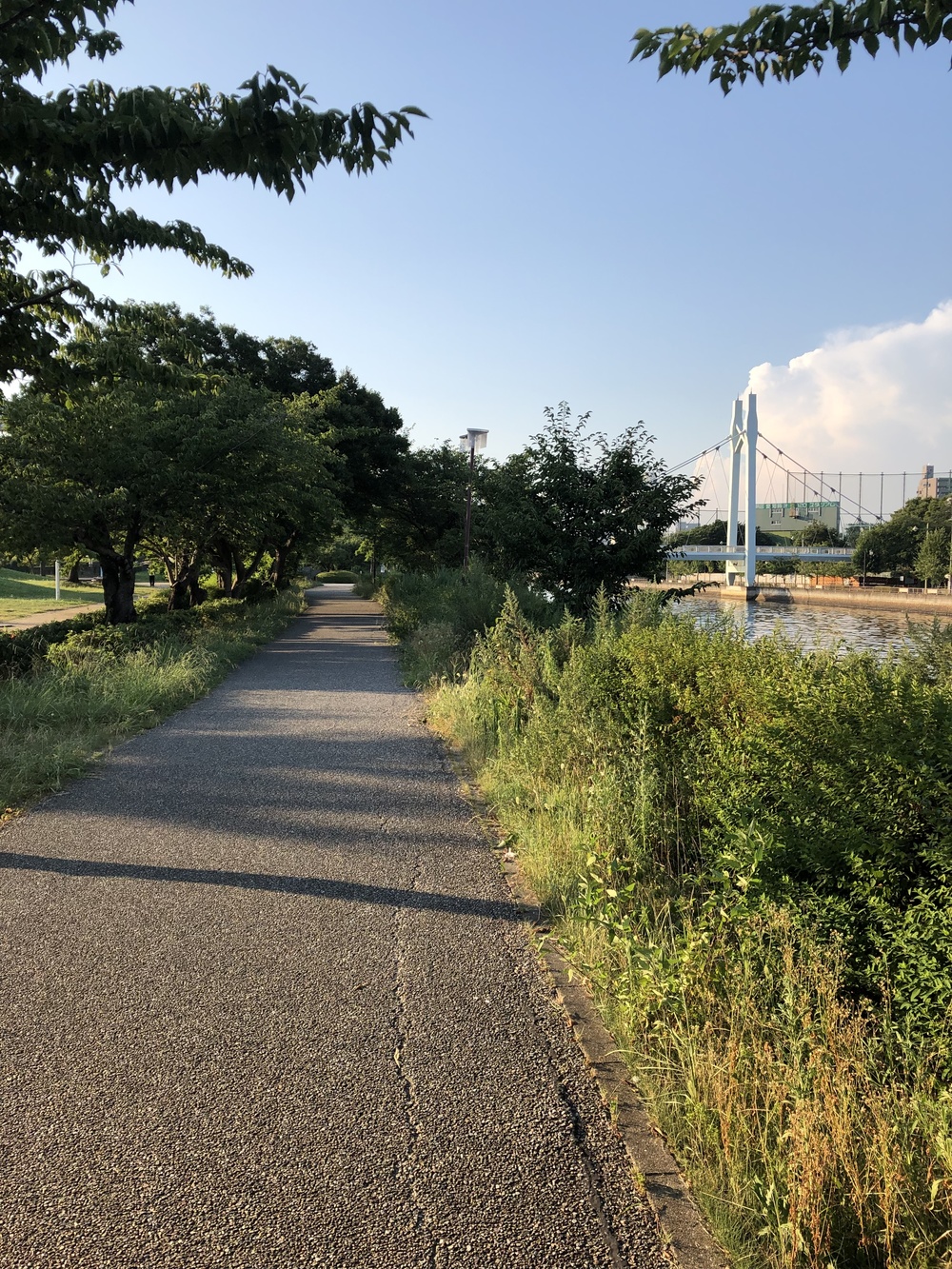 白鳥プロムナード、信号のない川沿いのランニングコースの写真3