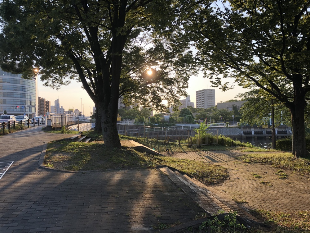 白鳥プロムナード、信号のない川沿いのランニングコースの写真11