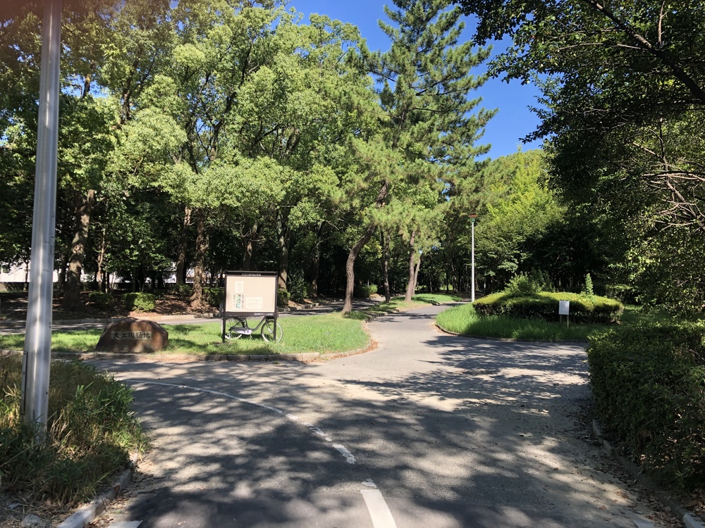 夏でも涼しい樹々に囲まれた大江川緑地ランニングコースの写真6