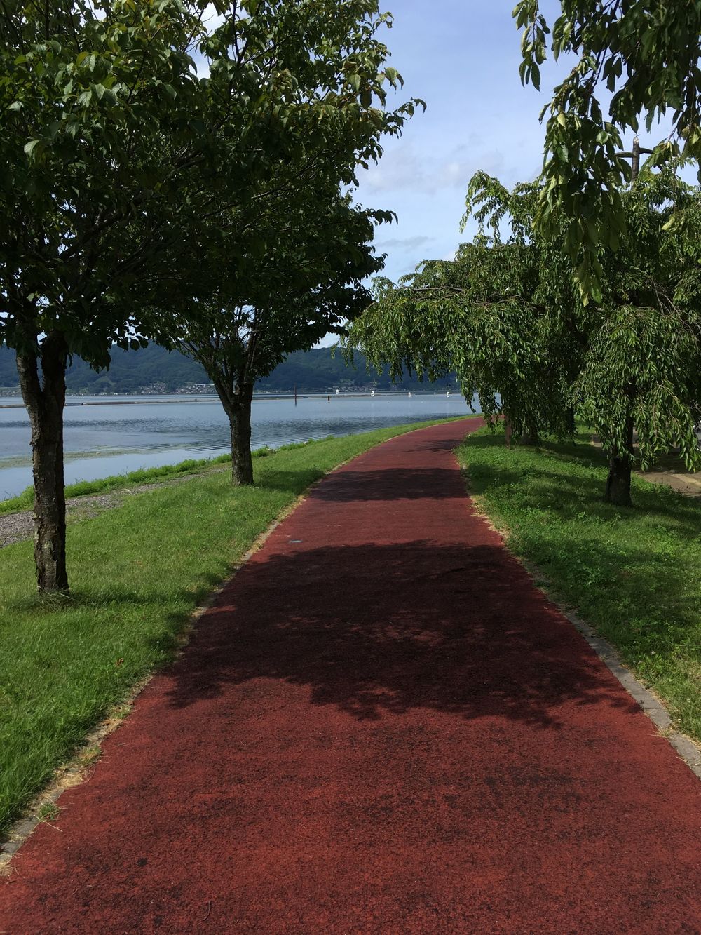 電車で行ける諏訪湖ランの写真3