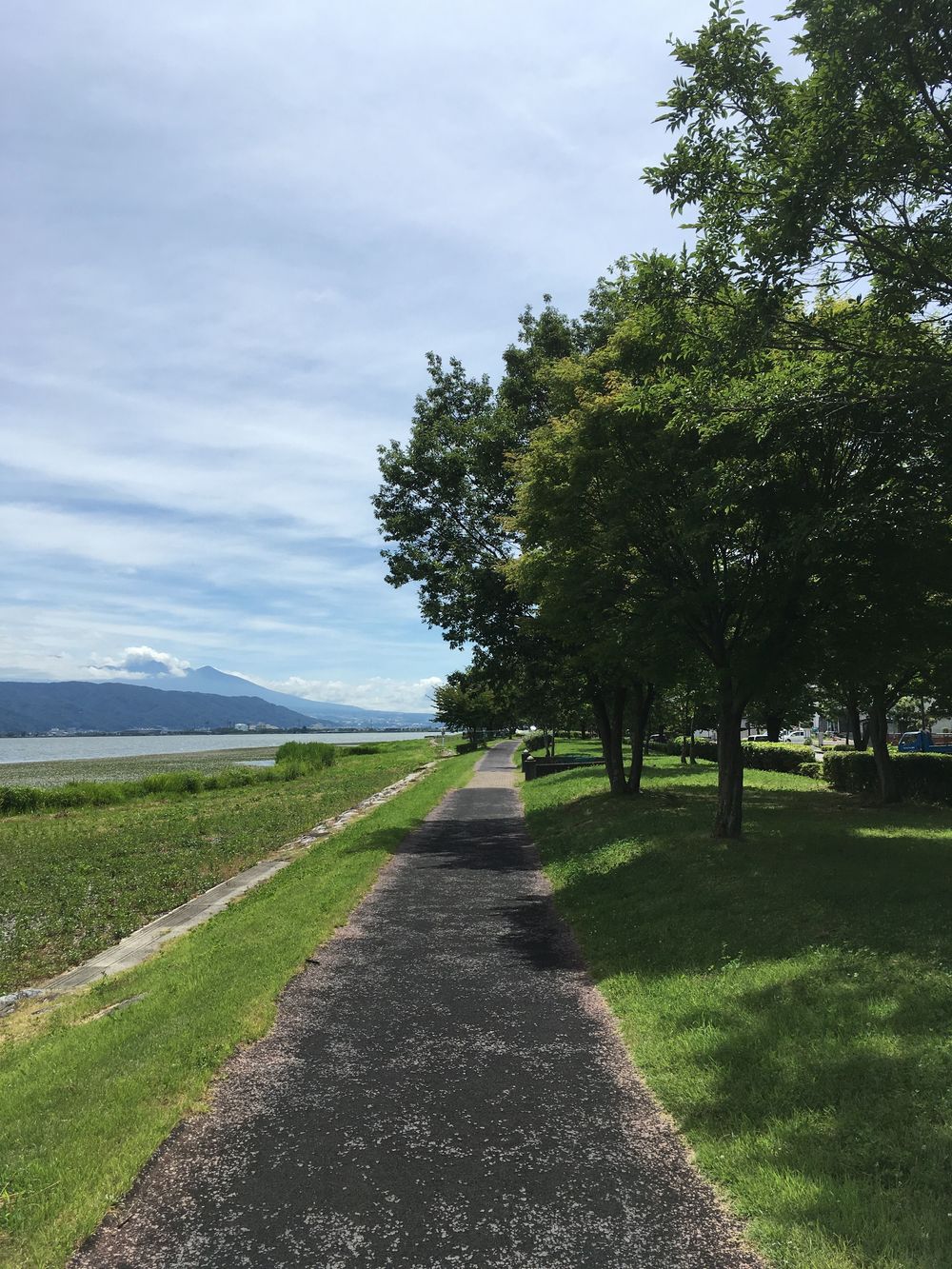 電車で行ける諏訪湖ランの写真4