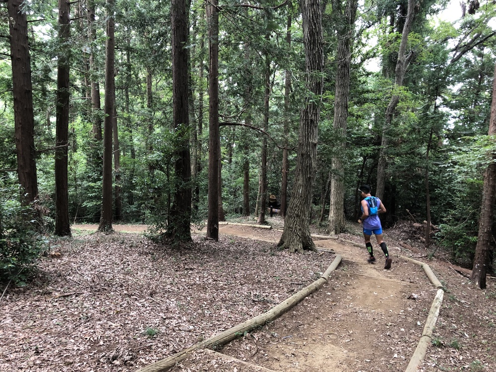 多摩丘陵さとやまトレイルランの写真3