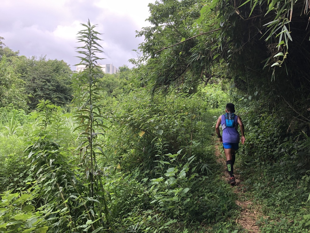 多摩丘陵さとやまトレイルランの写真4