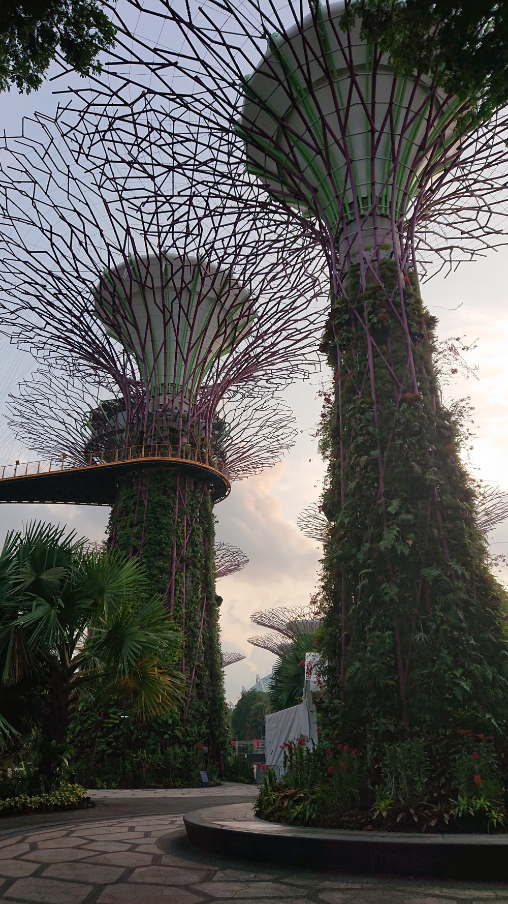 マリーナベイ＋ガーデンベイ周遊コースの写真3