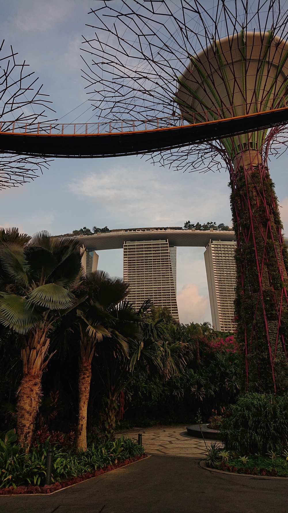 マリーナベイ＋ガーデンベイ周遊コースの写真4