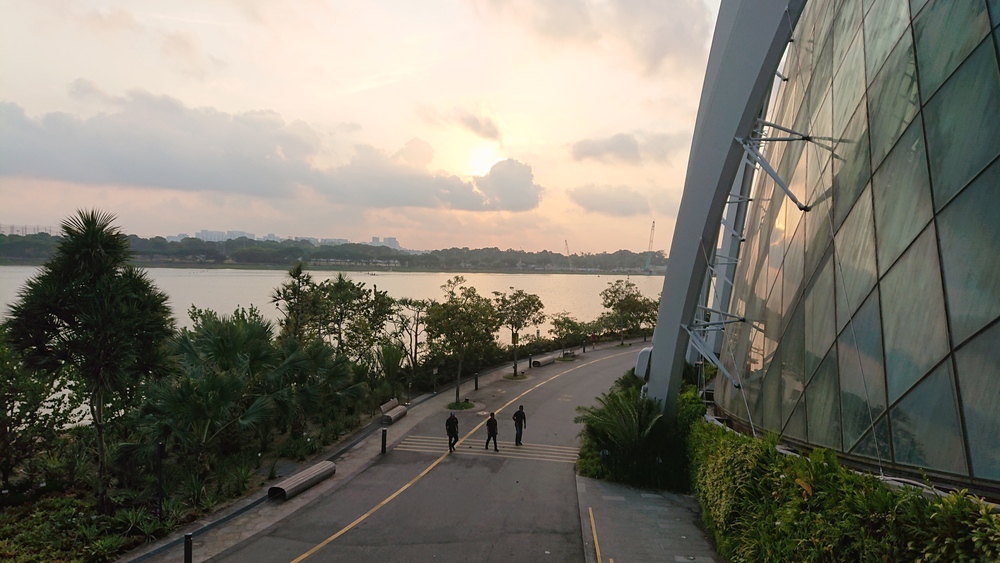 マリーナベイ＋ガーデンベイ周遊コースの写真5