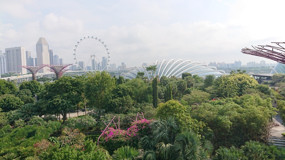 マリーナベイ＋ガーデンベイ周遊コースの写真7