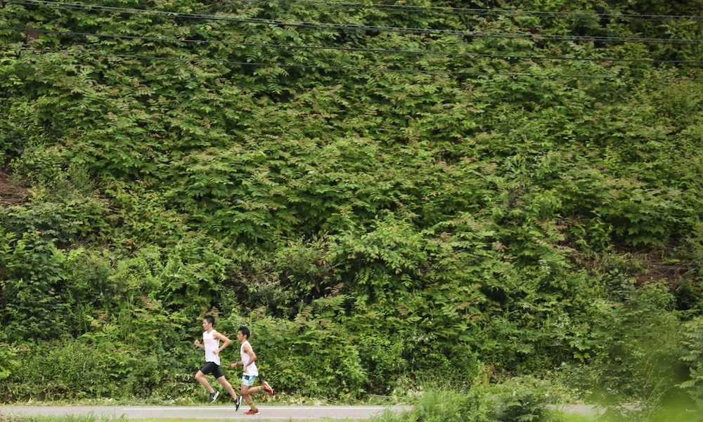 売木村1番人気・長下コースの写真4