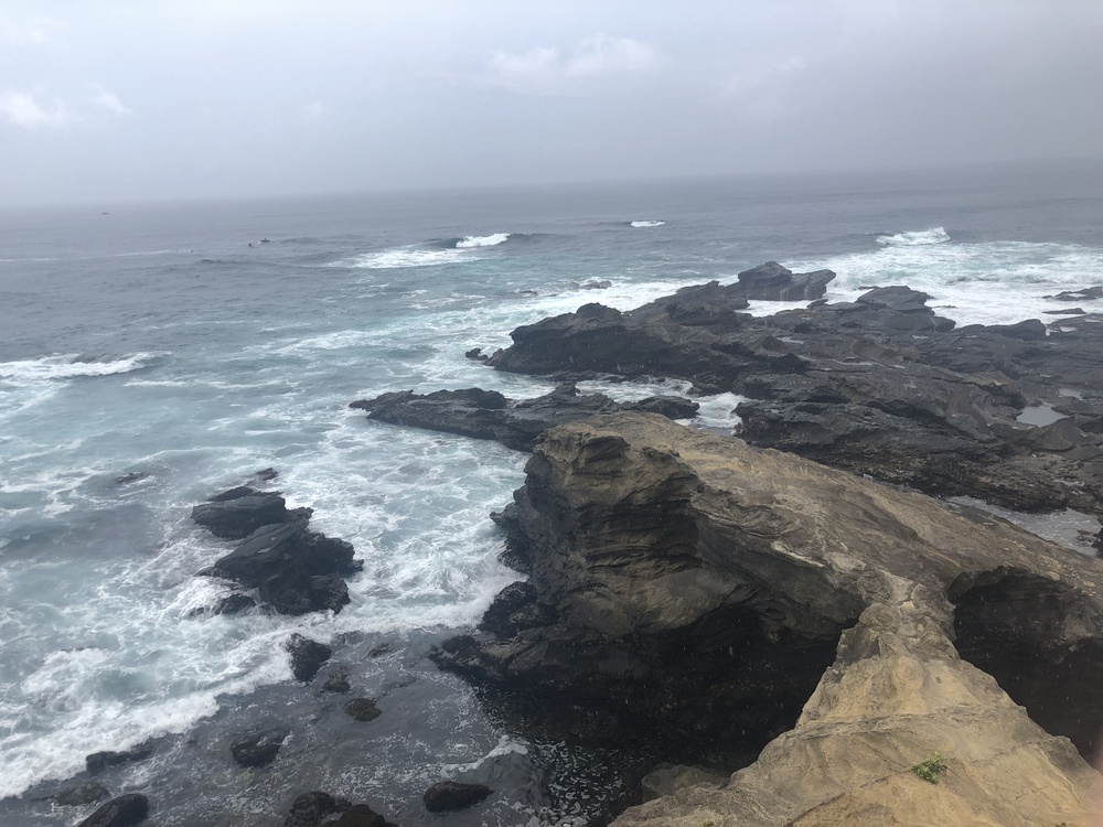 城ヶ島まぐろRUNの写真3