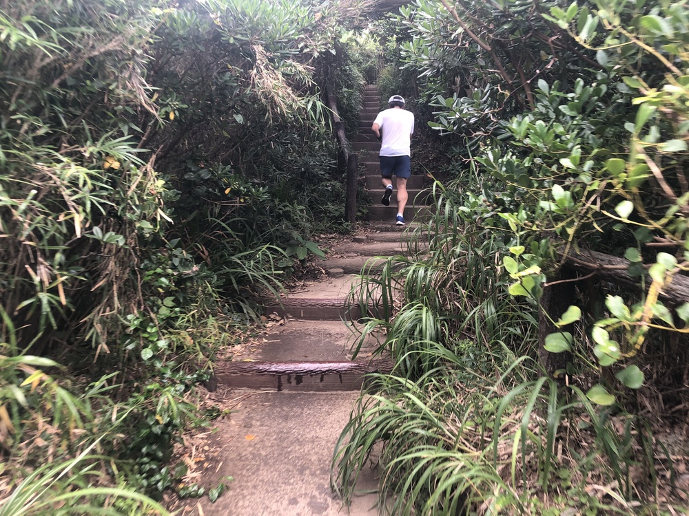 城ヶ島まぐろRUNの写真4