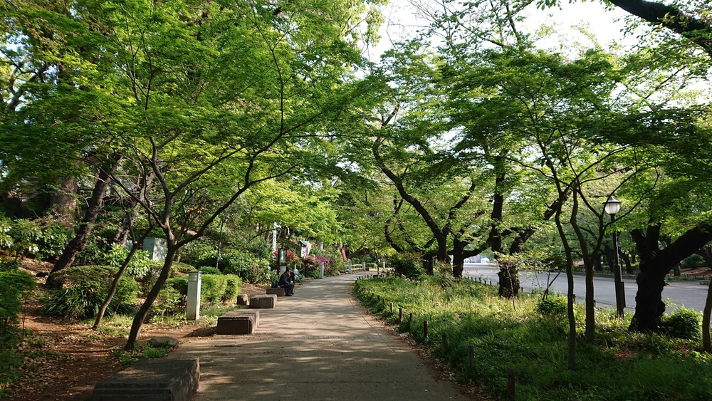 鶯谷駅から上野公園 不忍池 の写真3