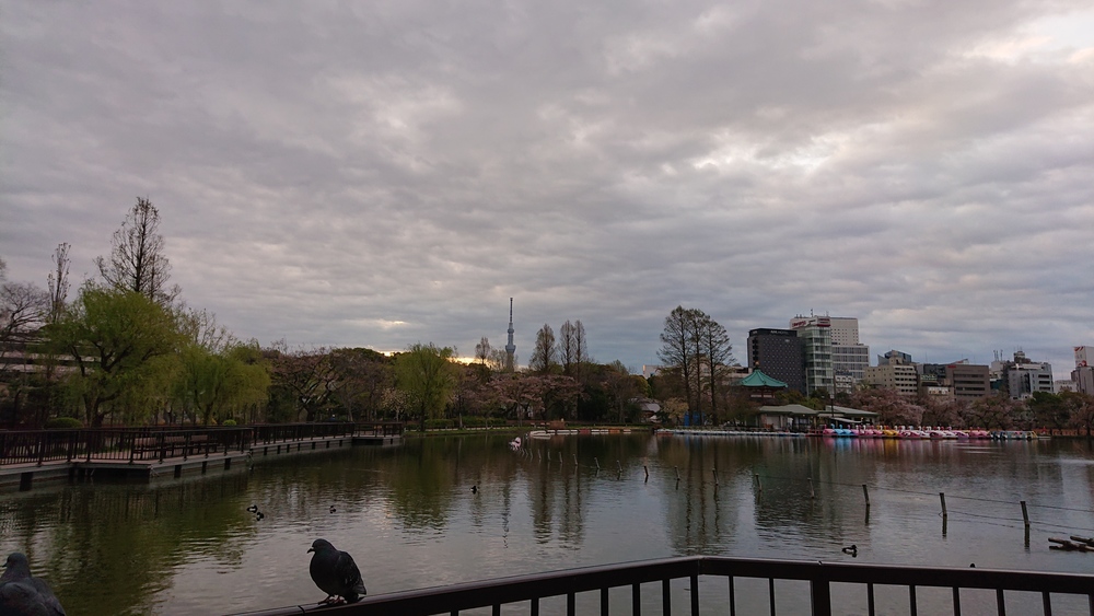 鶯谷駅から上野公園 不忍池 の写真4