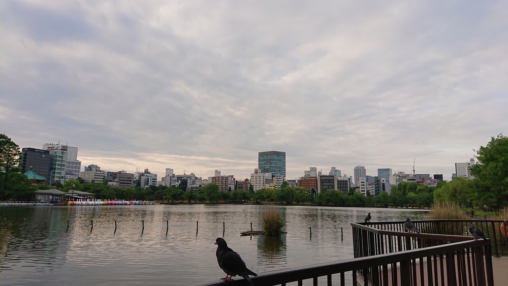 鶯谷駅から上野公園 不忍池 の写真7