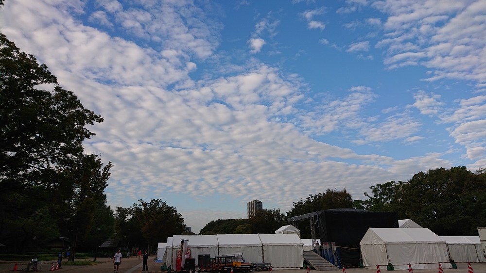 鶯谷駅から上野公園 不忍池 の写真8