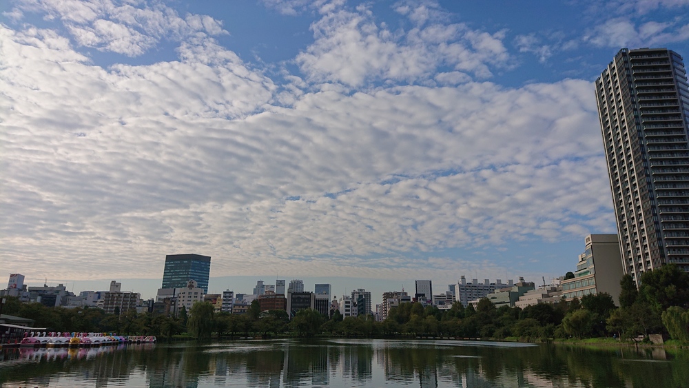 鶯谷駅から上野公園 不忍池 の写真9