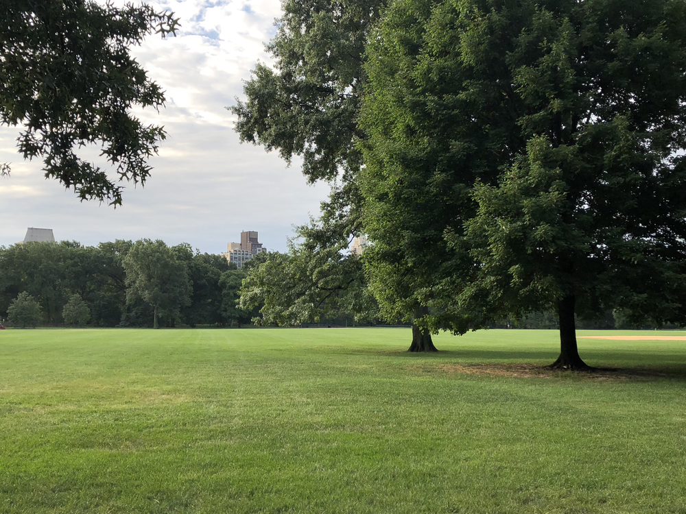 Monday Morning @ Central Parkの写真8