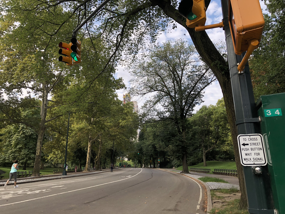 Monday Morning @ Central Parkの写真11