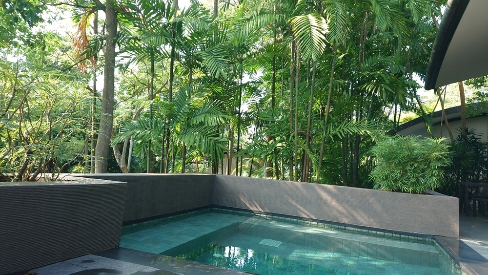 セントーサ島満喫 カペラホテル～海岸～マーライオンまでの写真5