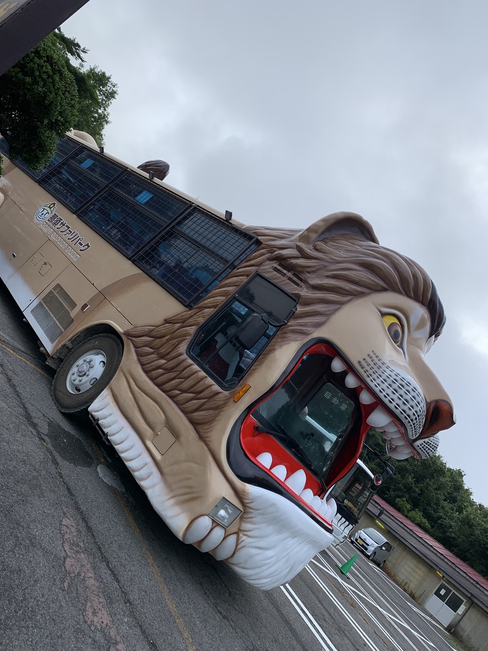 夏でも涼しい那須リゾートを runningの写真5