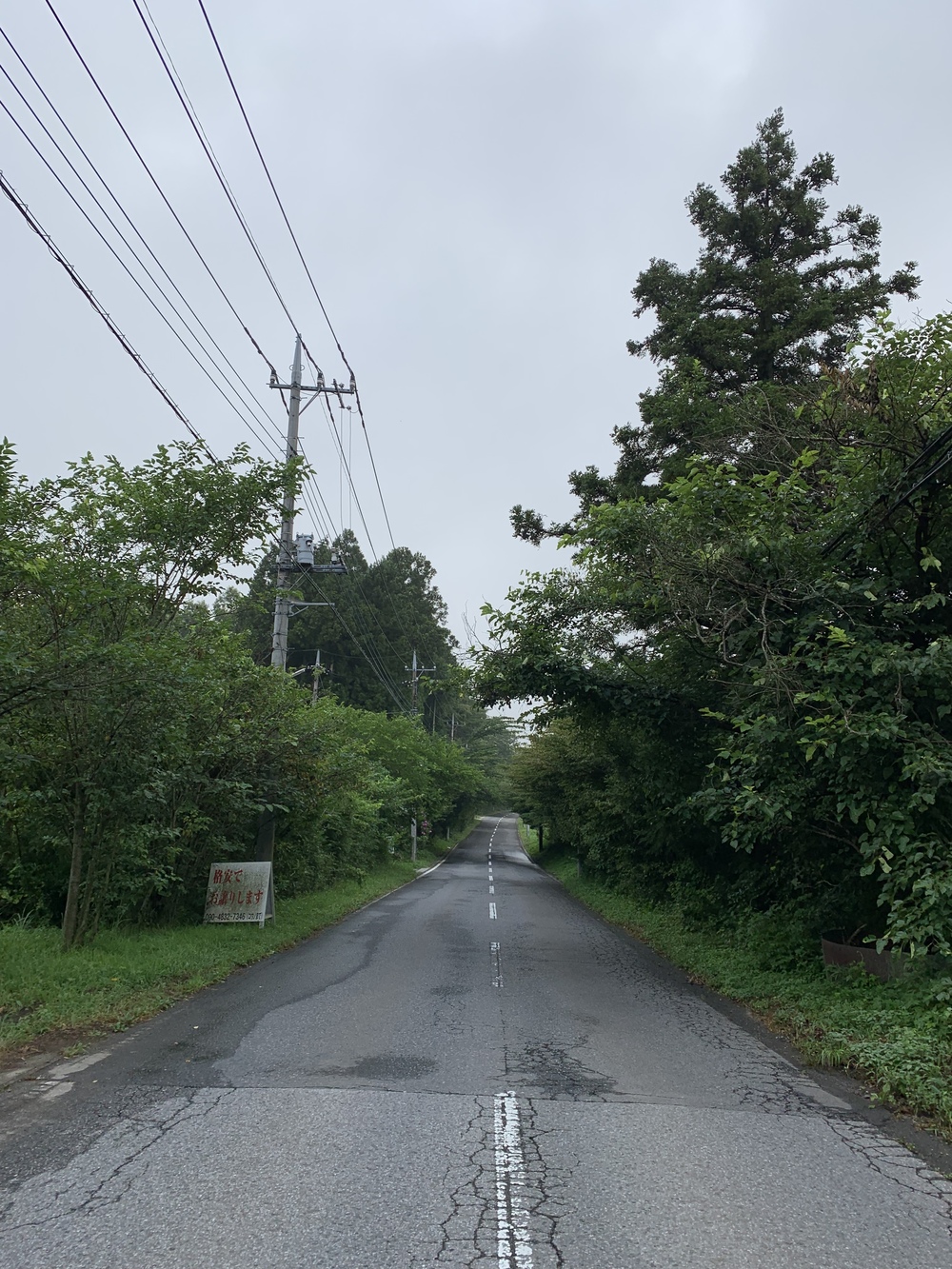 夏でも涼しい那須リゾートを runningの写真6