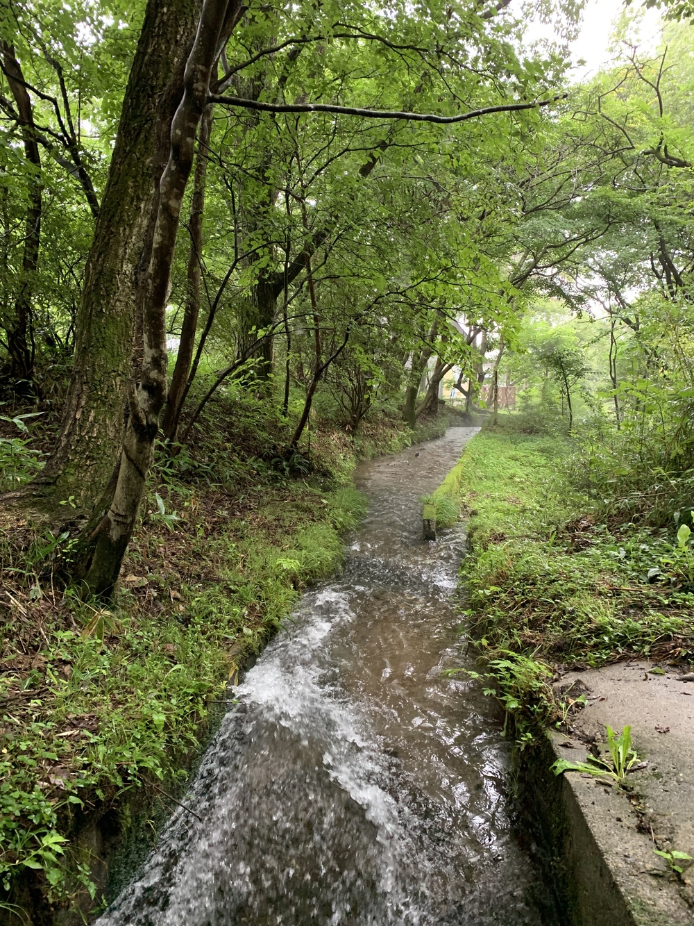 夏でも涼しい那須リゾートを runningの写真8