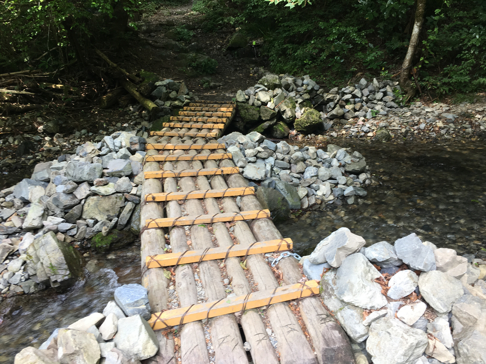 天然のクーラー完備の川沿いランの写真3