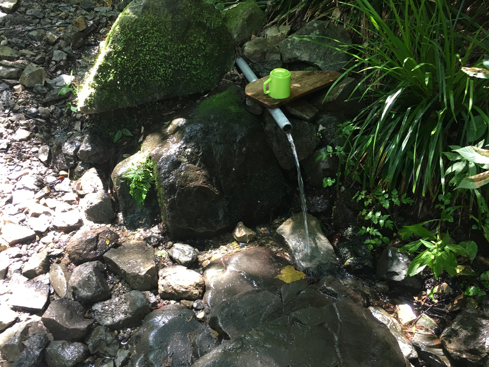 天然のクーラー完備の川沿いランの写真4