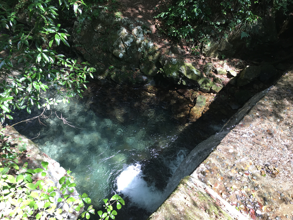 天然のクーラー完備の川沿いランの写真5