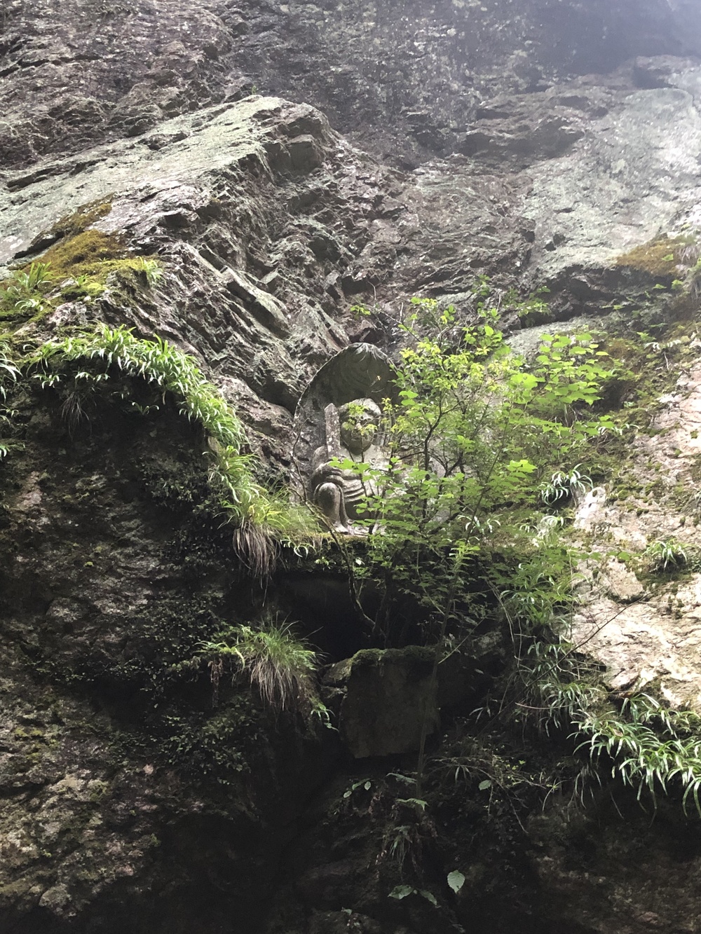 仁淀ブルーを満喫しながら七福神めぐりの写真11