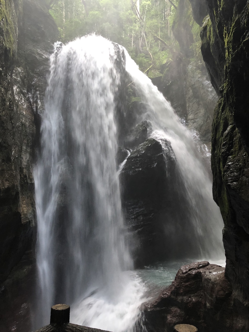 仁淀ブルーを満喫しながら七福神めぐりの写真12