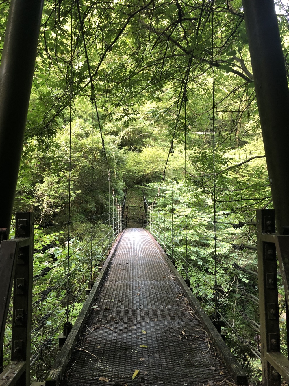 仁淀ブルーを満喫しながら七福神めぐりの写真13