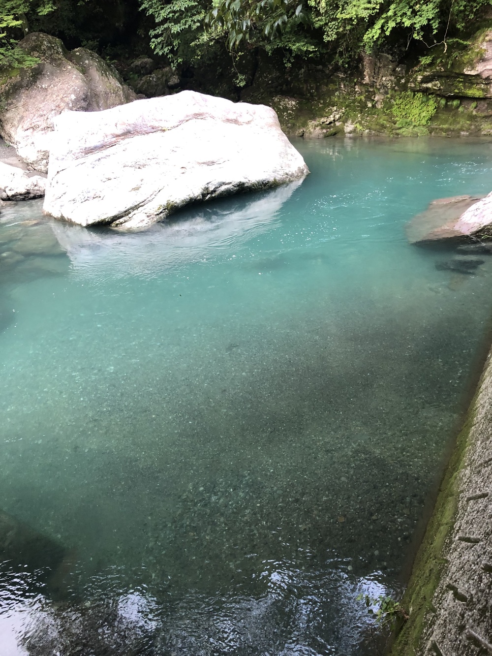 仁淀ブルーを満喫しながら七福神めぐりの写真14