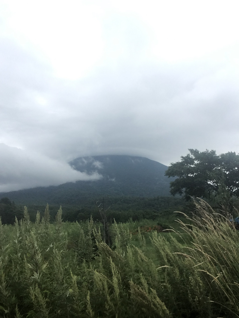 函館→札幌 5号線 ultra journeyRUN299km3日目の写真3