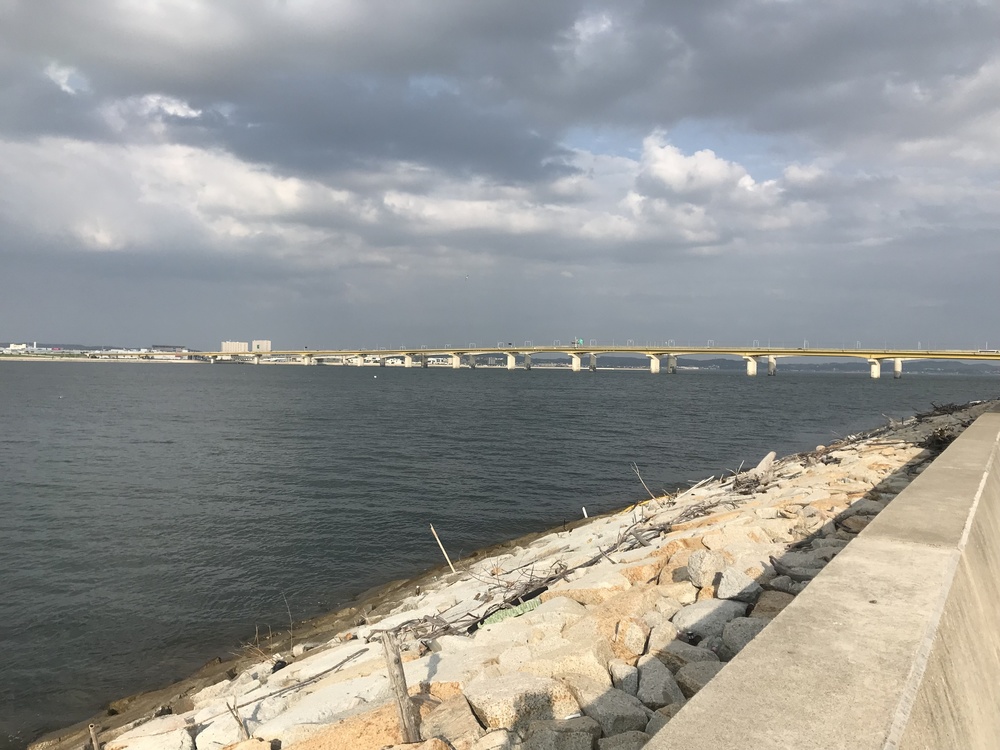 飛行機をチラ見しながら快適ランニング🏃‍♂️の写真3