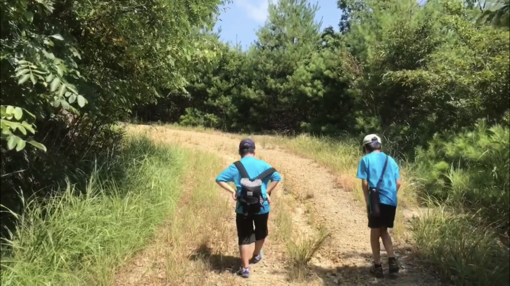 海！山！　日本海から千々見山（ちぢみやま）の写真15