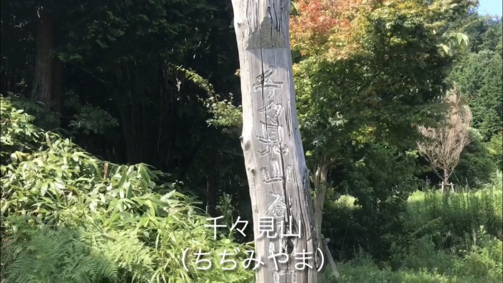 海！山！　日本海から千々見山（ちぢみやま）の写真16