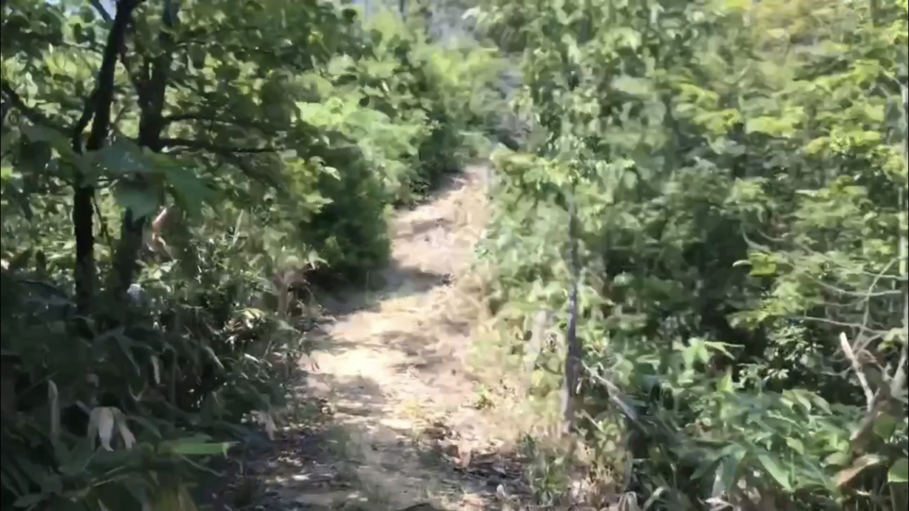 海！山！　日本海から千々見山（ちぢみやま）の写真17