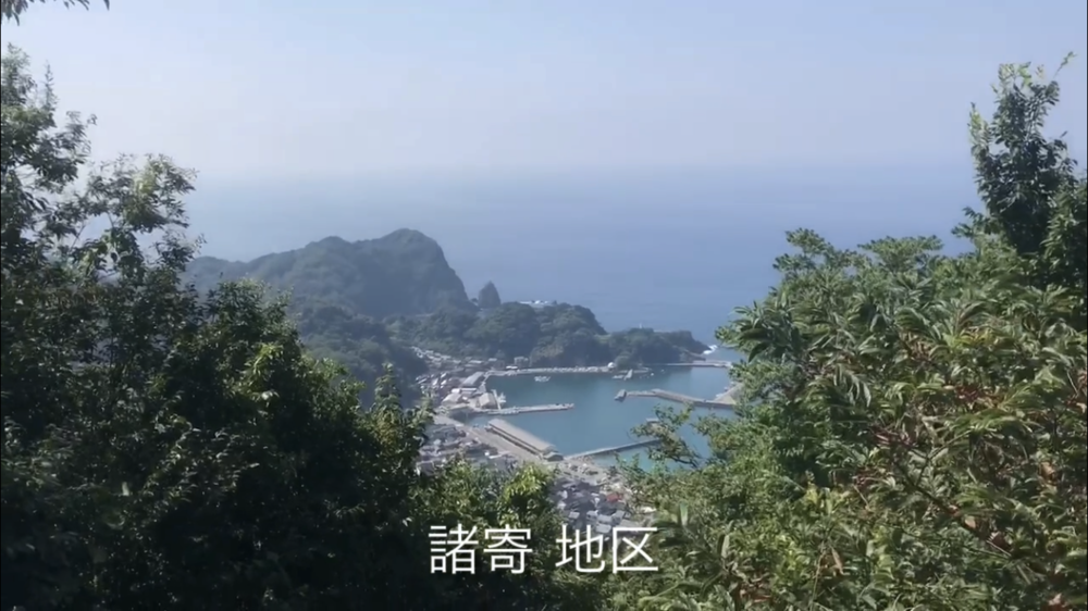 海！山！　日本海から千々見山（ちぢみやま）の写真20