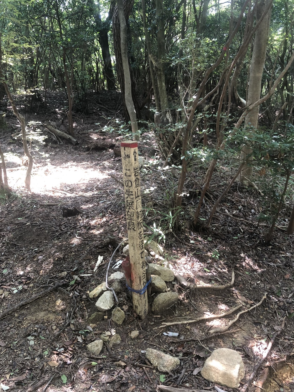 六甲山縦走路  宝塚〜六甲山最高峰（〜有馬温泉）の写真4
