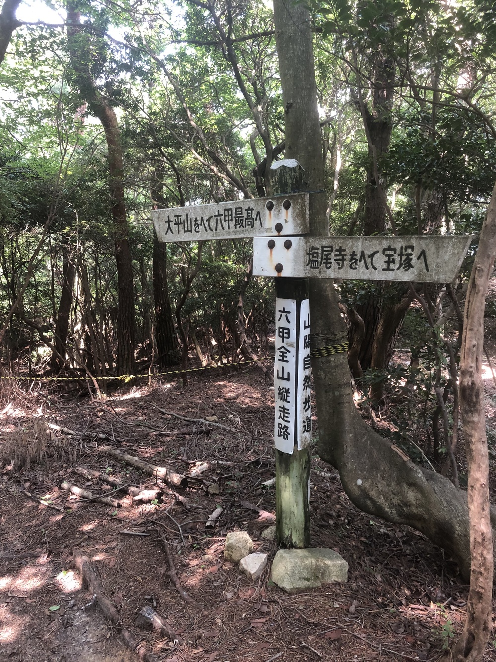 六甲山縦走路  宝塚〜六甲山最高峰（〜有馬温泉）の写真5