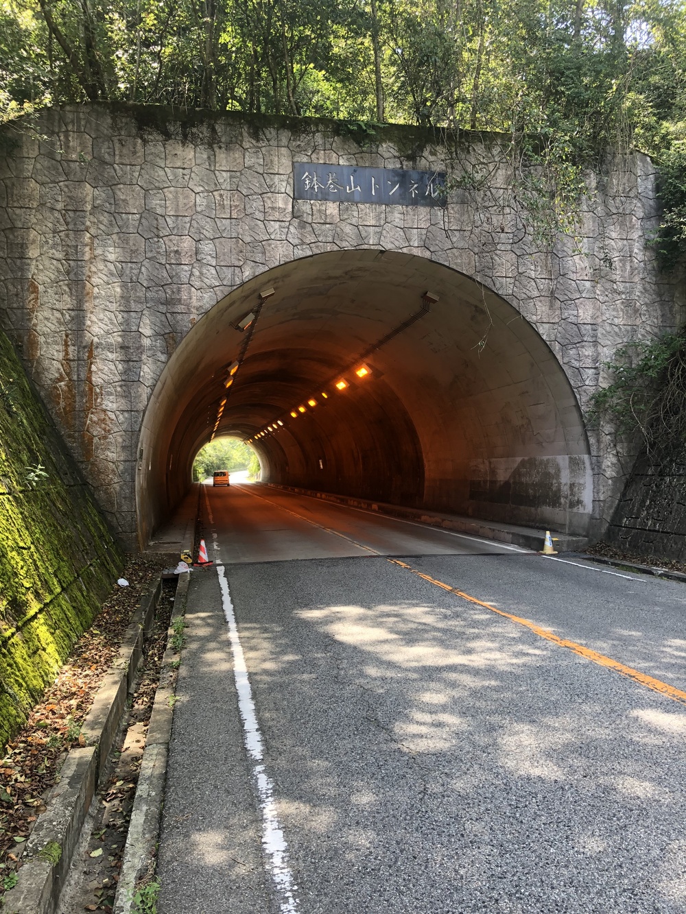 六甲山縦走路  宝塚〜六甲山最高峰（〜有馬温泉）の写真7