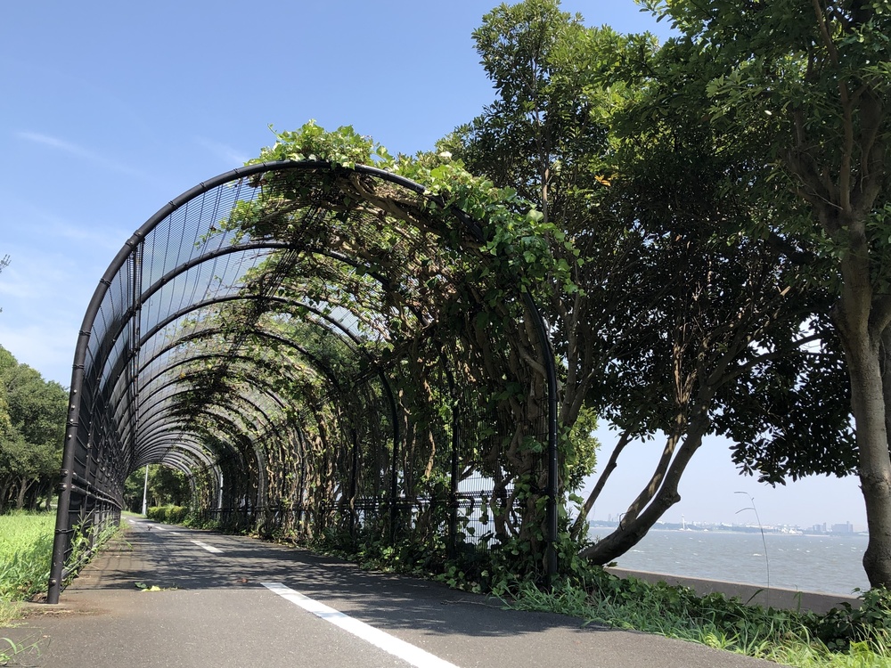 東京ゲートブリッジ〜夢の島の写真8