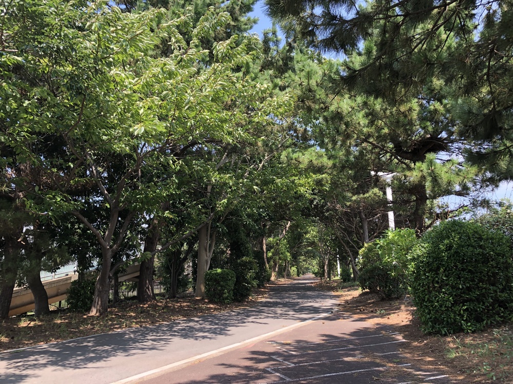 東京ゲートブリッジ〜夢の島の写真10