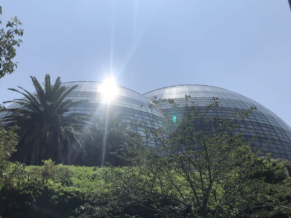 東京ゲートブリッジ〜夢の島の写真12